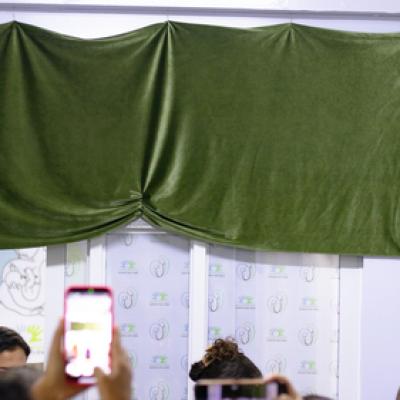 Hospital Santa Helena 55